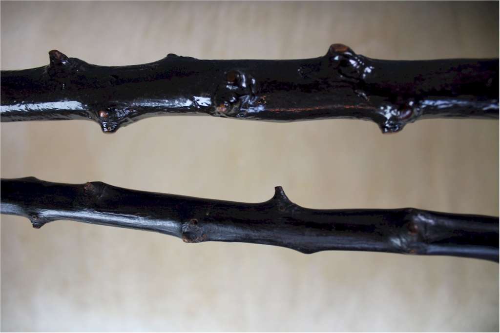 Two Blackthorn traditional Irish walking sticks