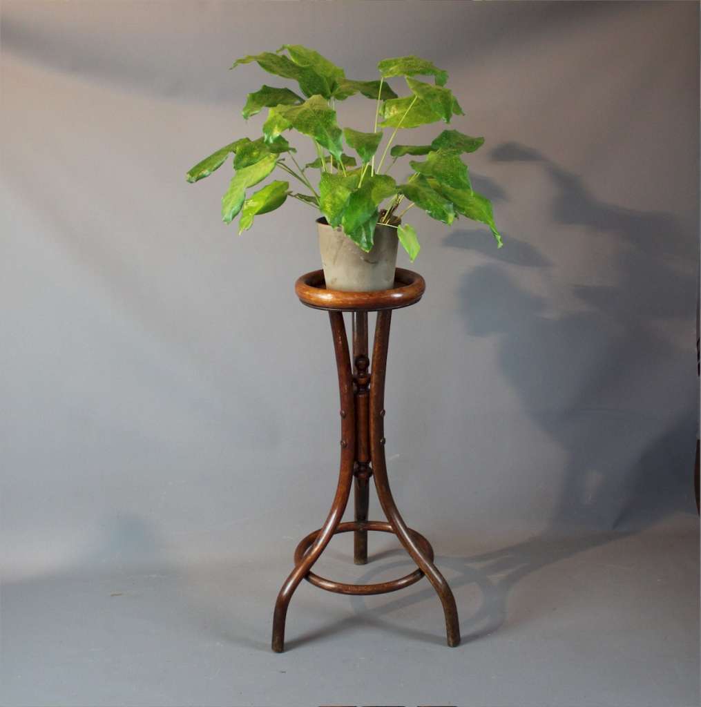 Bentwood plant stand by Fischel