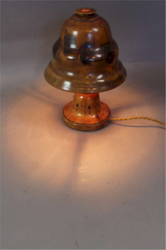 Brazilian Palm wood lamp circa 1920