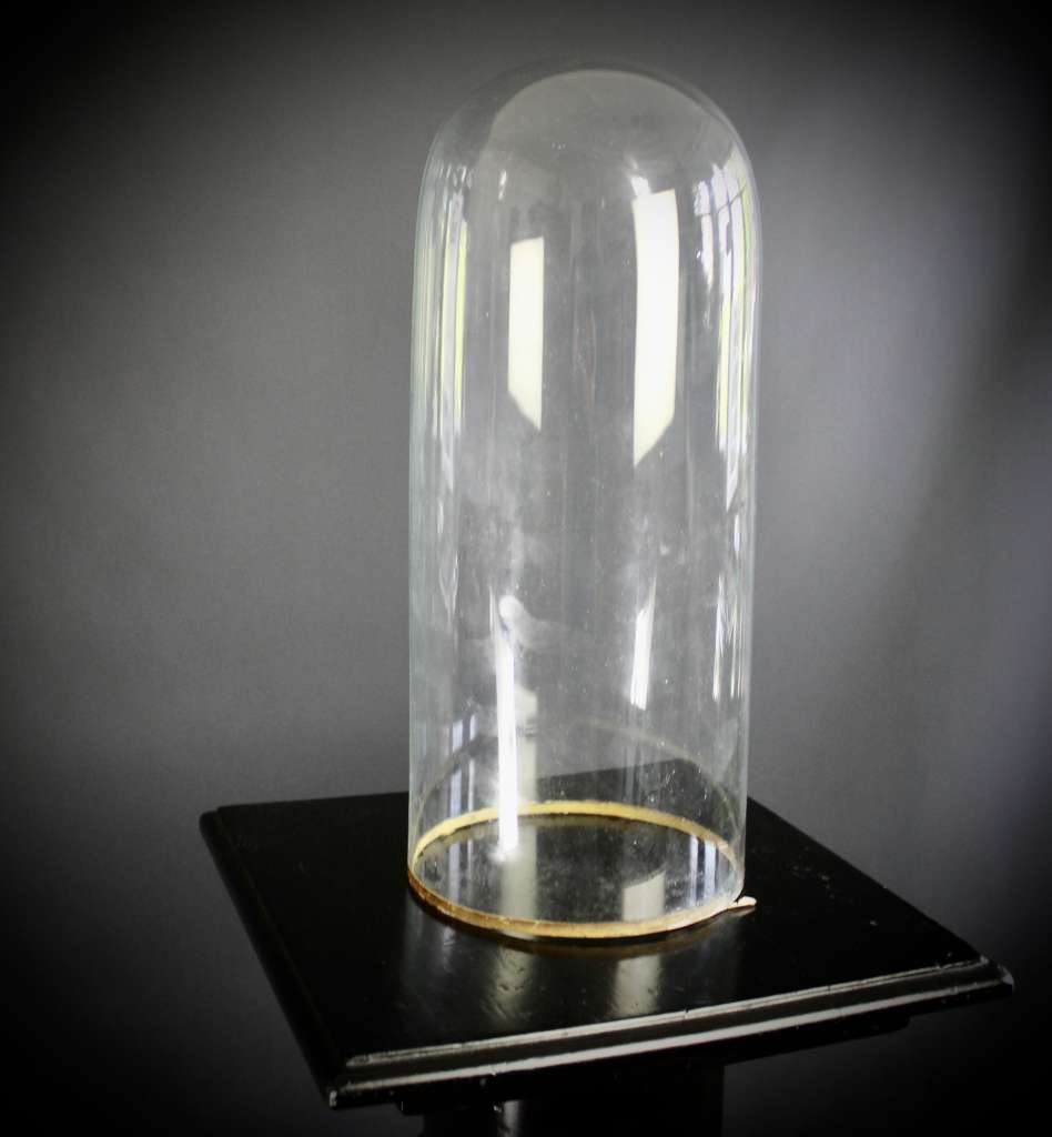 Victorian glass dome for display
