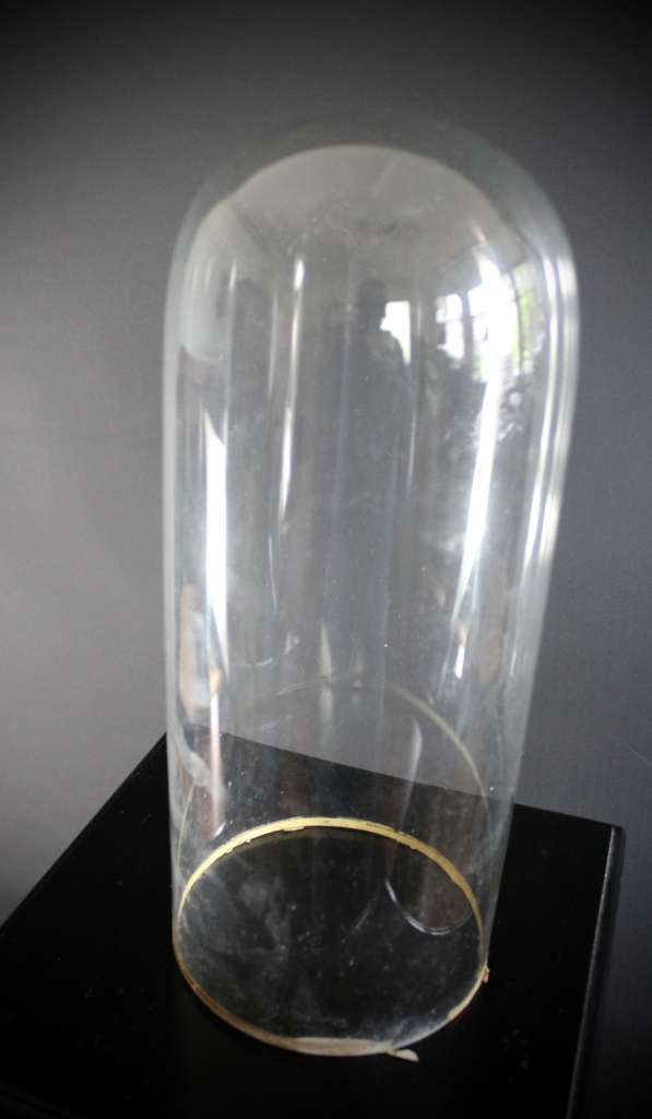 Victorian glass dome for display
