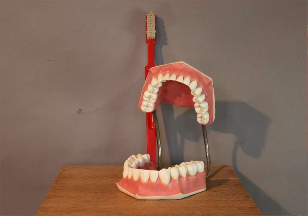 Oversized advertising set of teeth and toothbrush